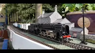 oo garden railway Hornby 9F Fish train.