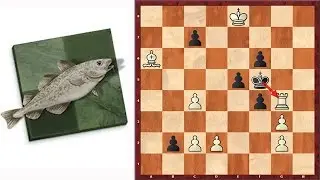Stockfish 8 Refuted Another Chess Puzzle