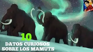 10 Datos Curiosos Sobre Los Mamuts
