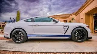 Shelby GT350 SIDE STRIPES by Benjamin Roman @ BEMARO SF