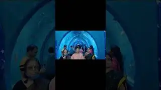 under water tunnel aqua exhibition