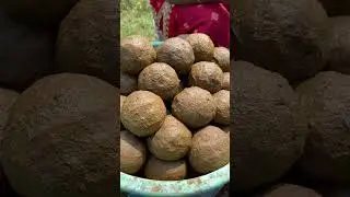 விபூதி  செய்முறை | Vibhuti Making | திருநீறு   #shorts#temple