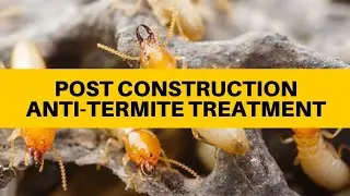 Process Of Post Construction Termite Treatment | Advance Pest Control Services | 2023