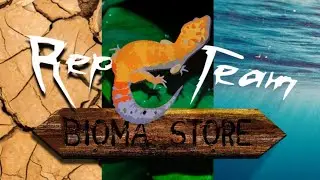 Abrimos tienda de mascotas ex&oacute;ticas! Repteam BiomaStore