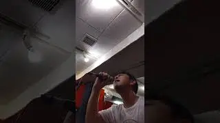 フェアエルフェアエルVOL.1
