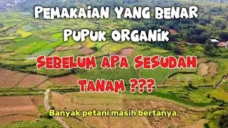 Pupuk Organik Tidak Instan, Ini Cara Pakainya yang Benar ikuti penjelasan berikut ini.#pertanian 