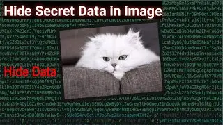 How To Hide Secret Text Inside an Image || Steganography Image