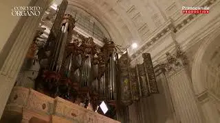Concerto D'Organo 2025