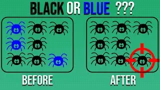 Spider Game Stage 1: What is your level of accuracy?