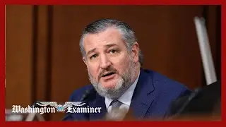 Ted Cruz calls Biden White House 'Hail to the Pen'