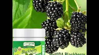 myVIDA BLACKBERRY ALMOND MILK