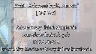 Zdrowaś bądź, Maryja [DN 376]