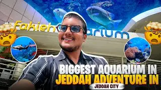 Fakieh Aquarium | Biggest Aquarium in Jeddah | Adventure in Jeddah City | Full Vlog
