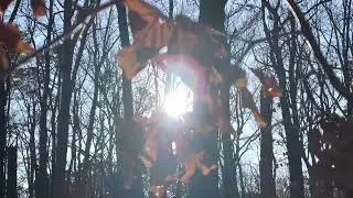 LandoXV & Shiloh Dynasty - Never Relaxed [Official Video]