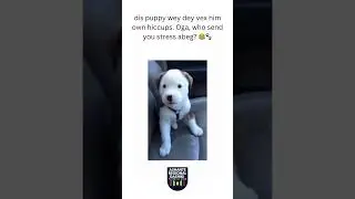 #ComedyVideos #FunnyGhana  #ViralVideos #TrendingNow #FunnyContent #FollowForLaughd #RelatableHumor