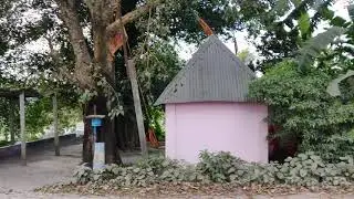 dewangang haldibari video(5)