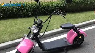 EEC big wheel scooter electric citycoco ORIDINDWAY
