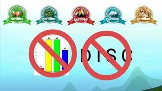 DISC Certification