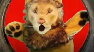 2017 12 Forestflix AUG to DEC