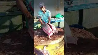 Filleting yellowfin tuna #short #fish #food #fyp #amazing