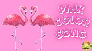 PINK Color Song &ndash; Fun & Educational Songs for Kids! | Cute Facts