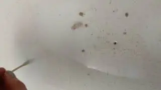 Pokus Bacily, koukněte na to 👀