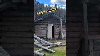 Хижина Дика Проеннеке в лесу? #дикпроеннеке #горы #на природе #хижина #дикая природа