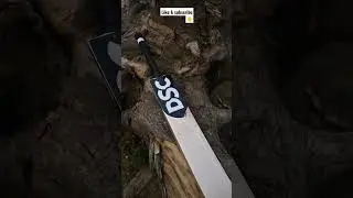 New DSC bat of David warner #davidwarner #dsc #cricket #cricketbat #viralvideo #top #trending#2023