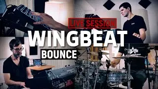 Wingbeat electro jazz studio session 