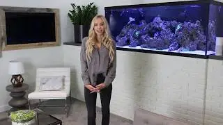 AMP Smart: Notifications Review