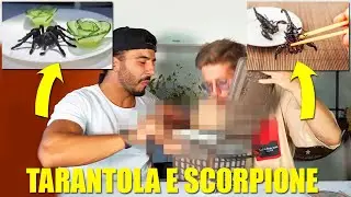 MANGIAMO GLI INSETTI PI&Ugrave; PERICOLOSI E DISGUSTOSI DEL MONDO - LA TARANTOLA E LO SCORPIONE VELENOSO!