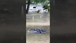 Texas flooding: Georgetown Good Samaritan rescues dog from floodwaters | FOX 7 Austin
