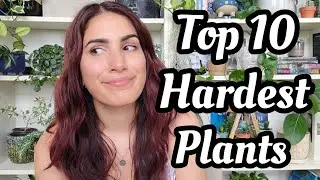 10 самых сложных для содержания растений! Самые сложные комнатные растения по мнению читателей Ga...