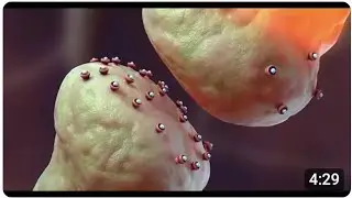 Drug Addiction: How Opioids Like Fentanyl Work & it's Treatment / Dr Ali Muhammad