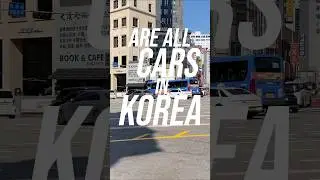 Wait&hellip; are all cars in Korea Hyundai or Kia? #korea #seoul #travel #hyundai #kia #cars