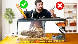 Я починил стартовый набор Bearded Dragon от Zoo Med!