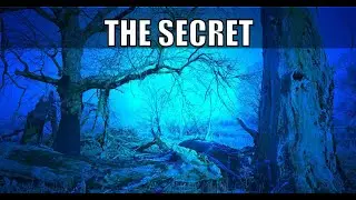 Book Summary: The Secret: by Rhonda Byrne (Self-Help/Spirituality) #audiobook #english
