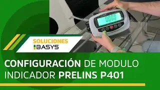 Configuración de modulo indicador PRELINS P401 para lectura de peso desde computadora BASYS