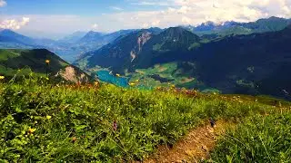 Relaxing Birds Songs Ambience With Serene Mountain Top View | Nature's Sounds For Sleep and Study