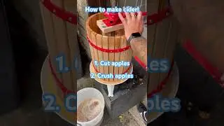 How to make homemade cider! #shorts #cider #homemade #homebrew #apples #homebrewing