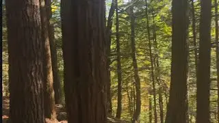Timblab on the Glen Trail 