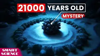 The Science Behind 1300 Perfect Circles on the Mediterranean Sea Floor