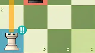 Optimal Rook Placement