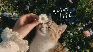 a quiet playlist for quiet people 🌱🐈🌼