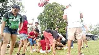 Piñata 2025