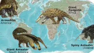 Geographic Distribution