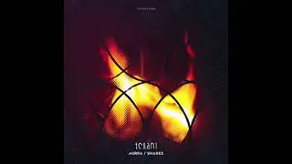 Tchami - Shades (feat. Donnie Sloan & Ricky Ducati) [1-Hour Continuous Groovy Uplifting House Mix]