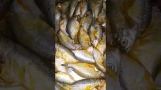 Odia style fish recipe #Chuna macha curry #small fish recipe #tasty #health #fish  #cookwithsumitra
