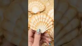 Seashell cookies decorated with royal icing #cookieart #cookies #cakedecorating #bakingideas