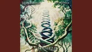 Abriendo